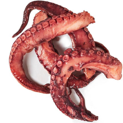 Octopus Tenticles