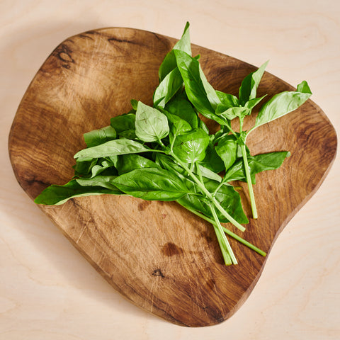 Basil