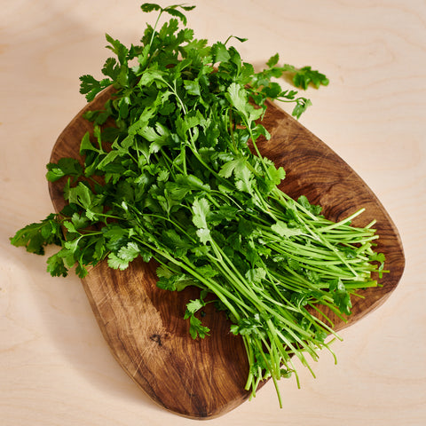 Coriander